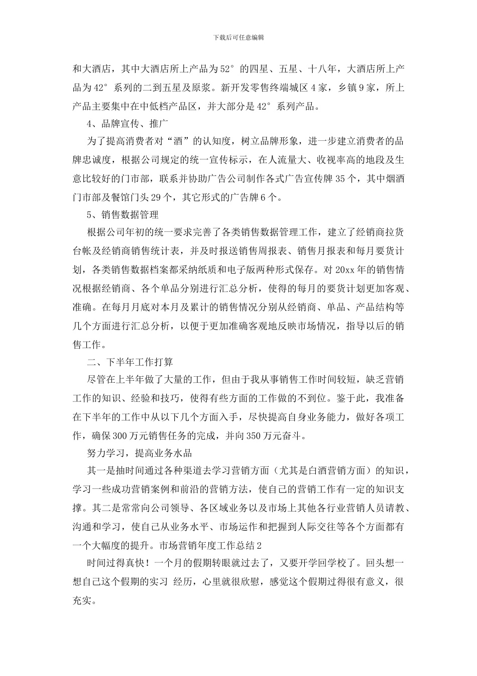 市场营销年度工作总结_第2页
