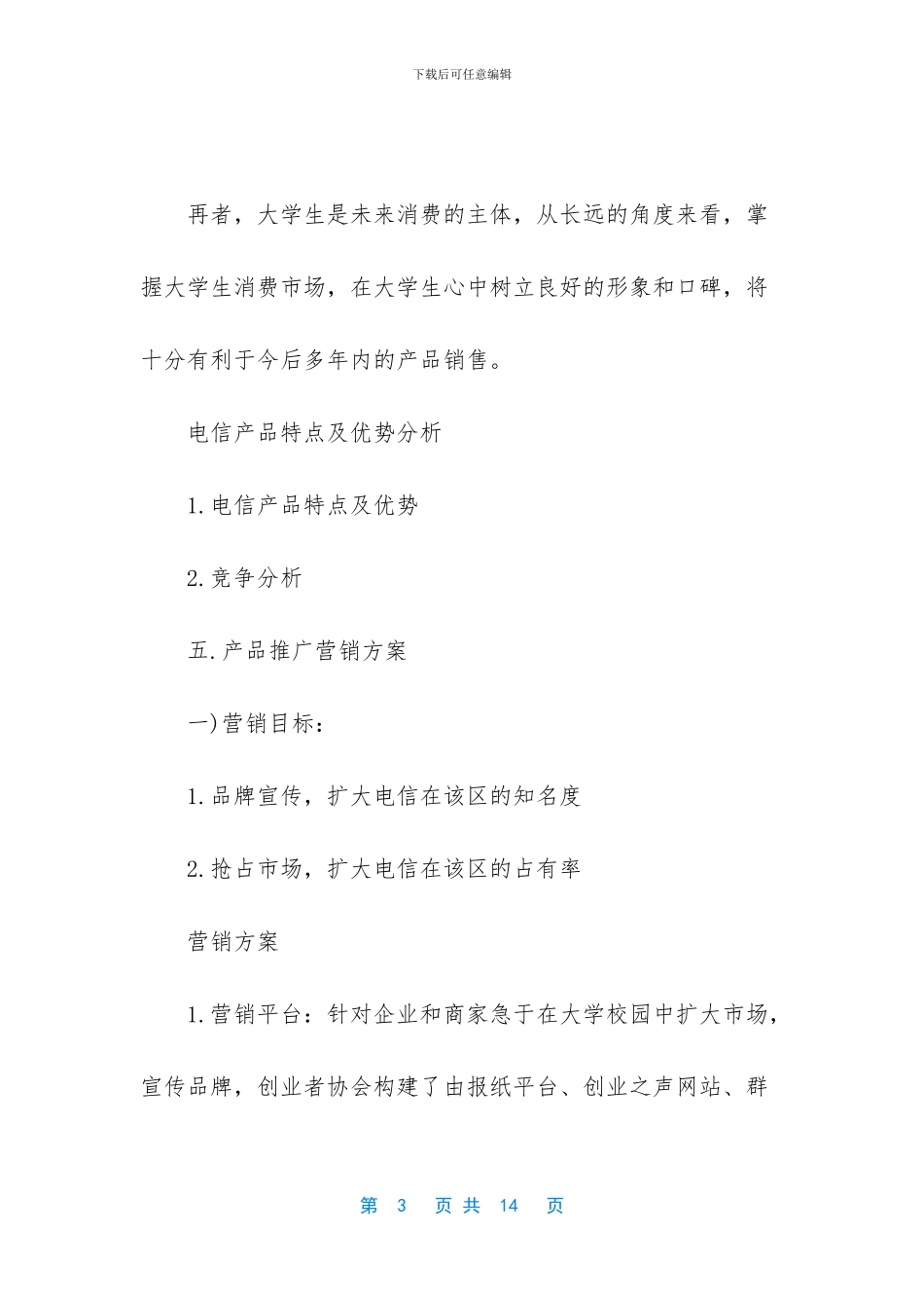 市场营销方案策划书_第3页