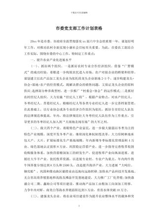 市委党支部工作计划表格