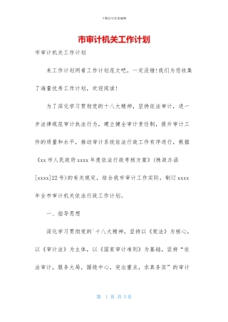 市审计机关工作计划