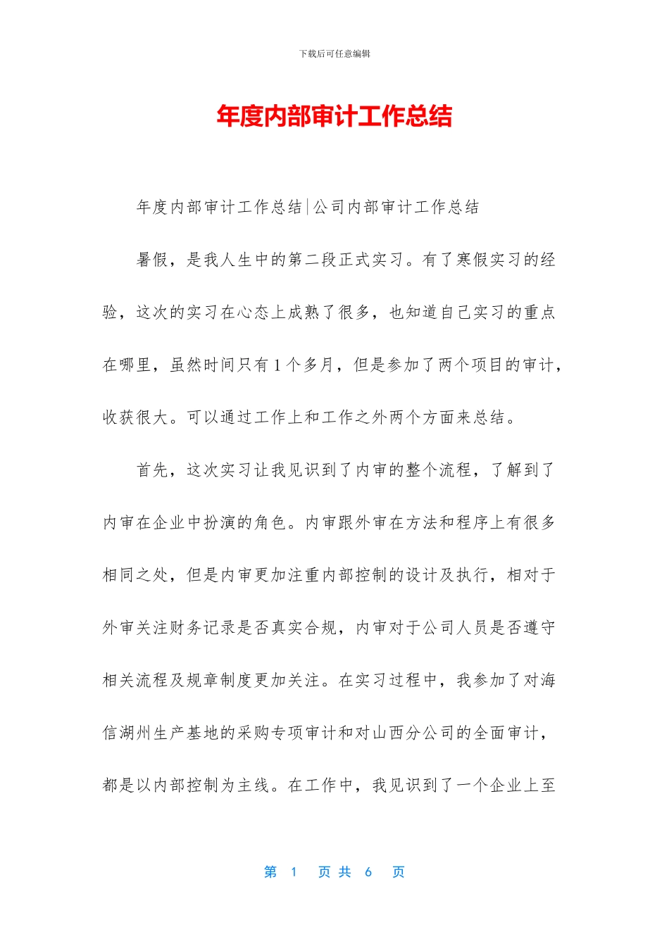年度内部审计工作总结_第1页
