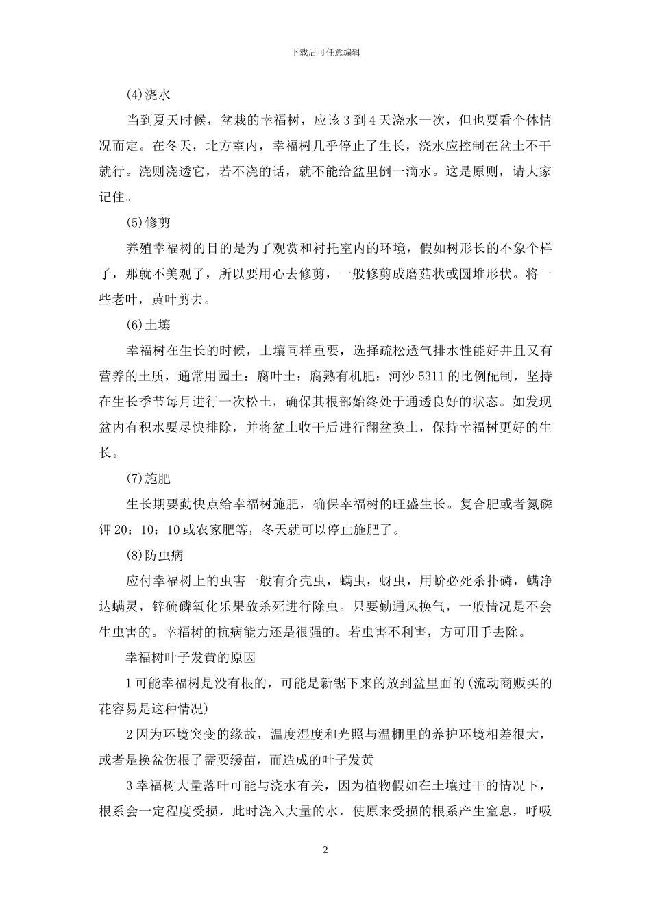 幸福树的养殖方法和注意事项_第2页