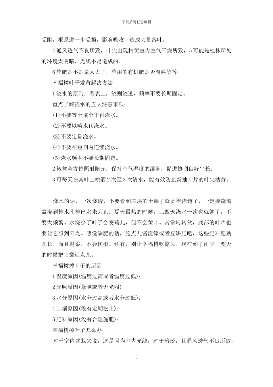幸福树的养殖方法和注意事项_第3页