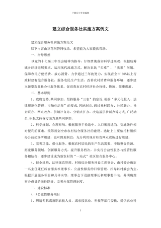 建立综合服务社实施方案例文