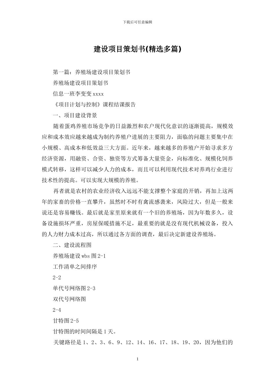 建设项目策划书_第1页