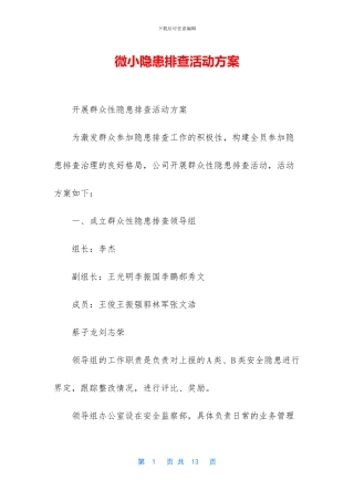 微小隐患排查活动方案