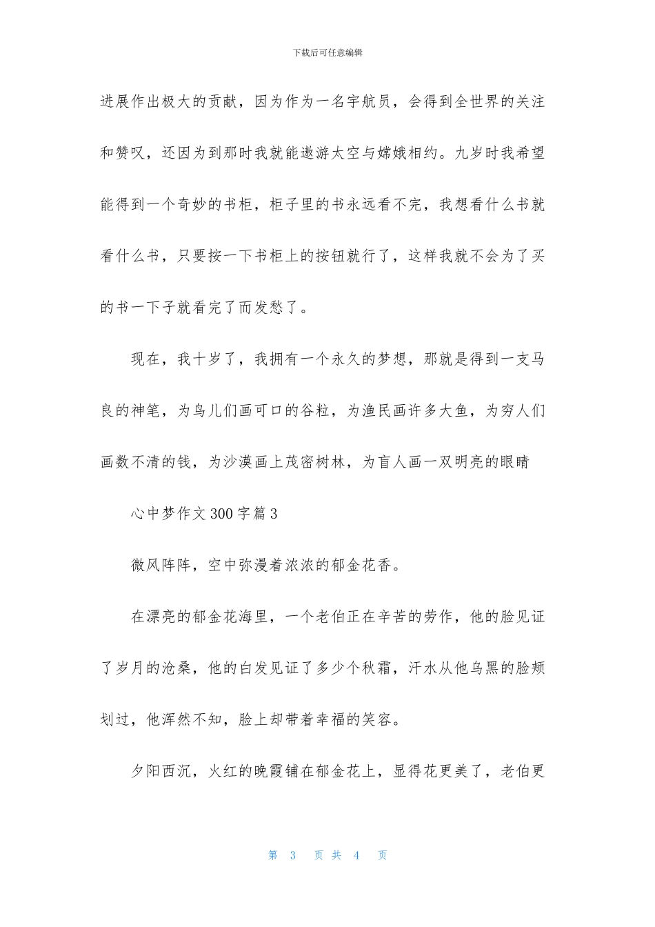 心中梦作文300字三篇_第3页