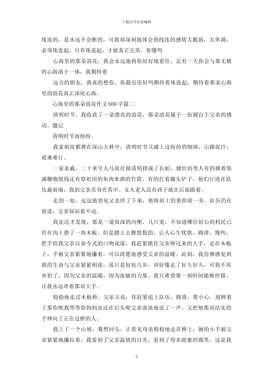 心海里的那朵浪花作文600字_第2页