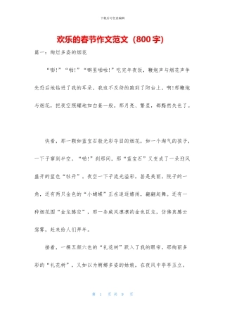 快乐的春节作文范文