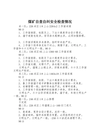 煤矿自查自纠安全检查情况