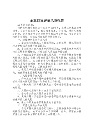企业自我评估风险报告