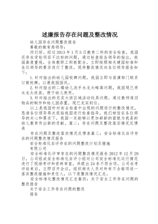 述廉报告存在问题及整改情况