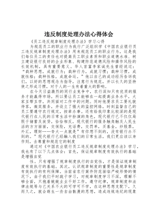违反制度处理办法心得体会