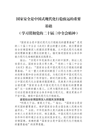 国家安全是中国式现代化行稳致远的重要基础