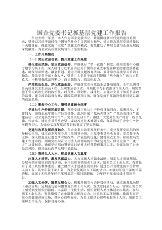 国企党委书记抓基层党建工作报告