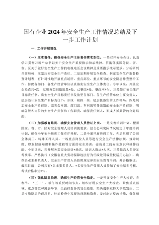 国有企业2024年安全生产工作情况总结及下一步工作计划