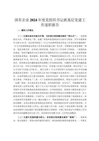 国有企业2024年度党组织书记抓基层党建工作述职报告
