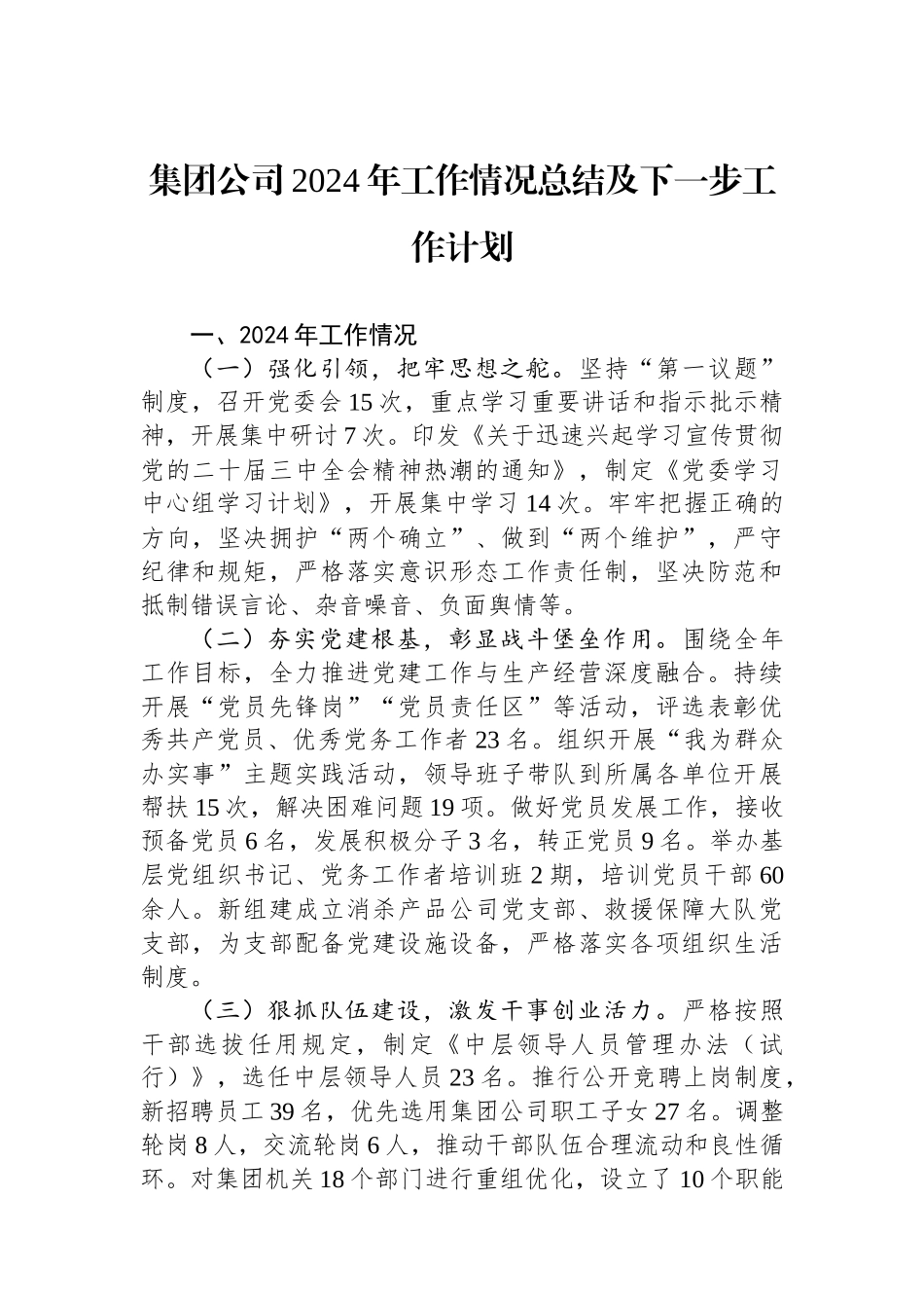 集团公司2024年工作情况总结及下一步工作计划_第1页
