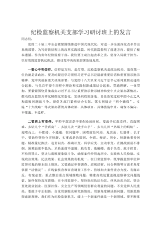 纪检监察机关支部学习研讨班上的发言