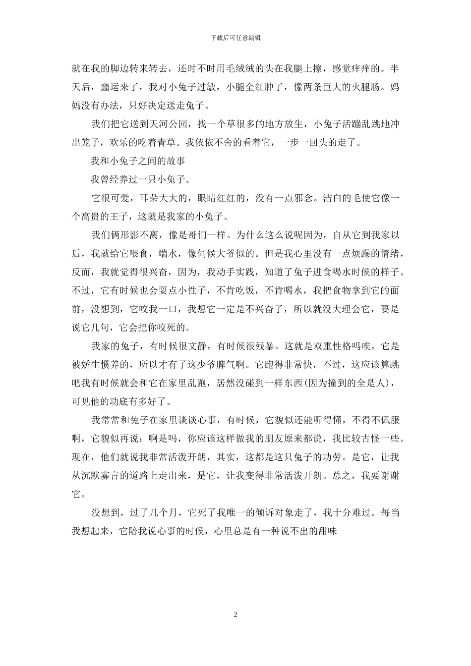 我和小兔子的趣事_第2页