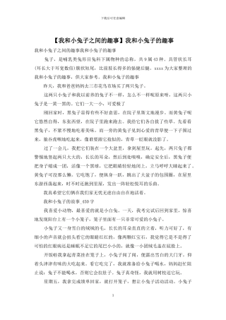 我和小兔子的趣事