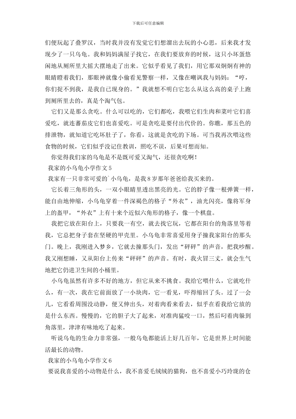 我家的小乌龟小学作文_第3页