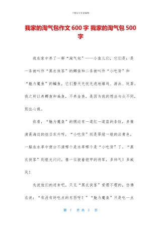 我家的淘气包作文600字