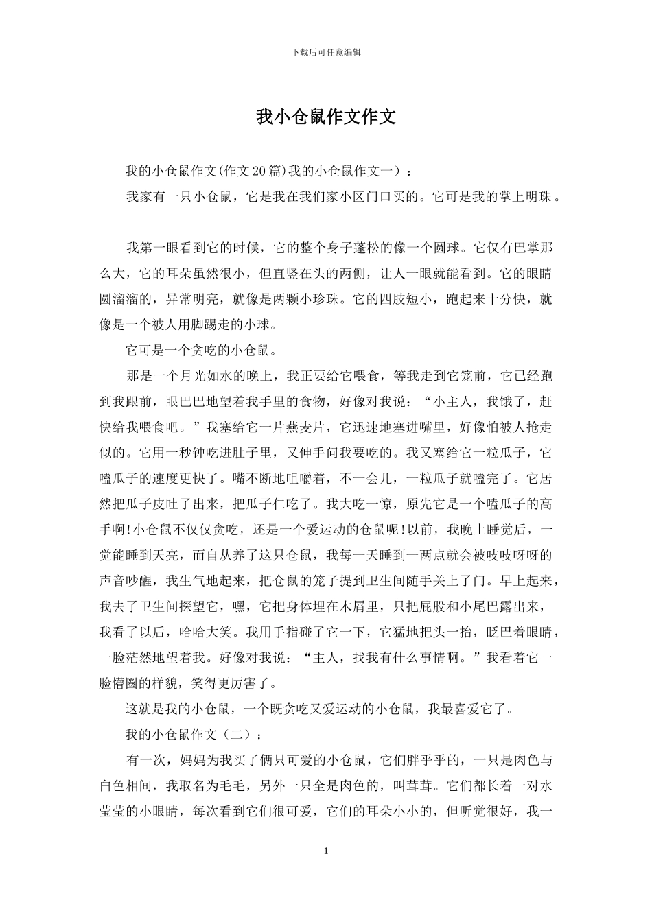 我小仓鼠作文作文_第1页