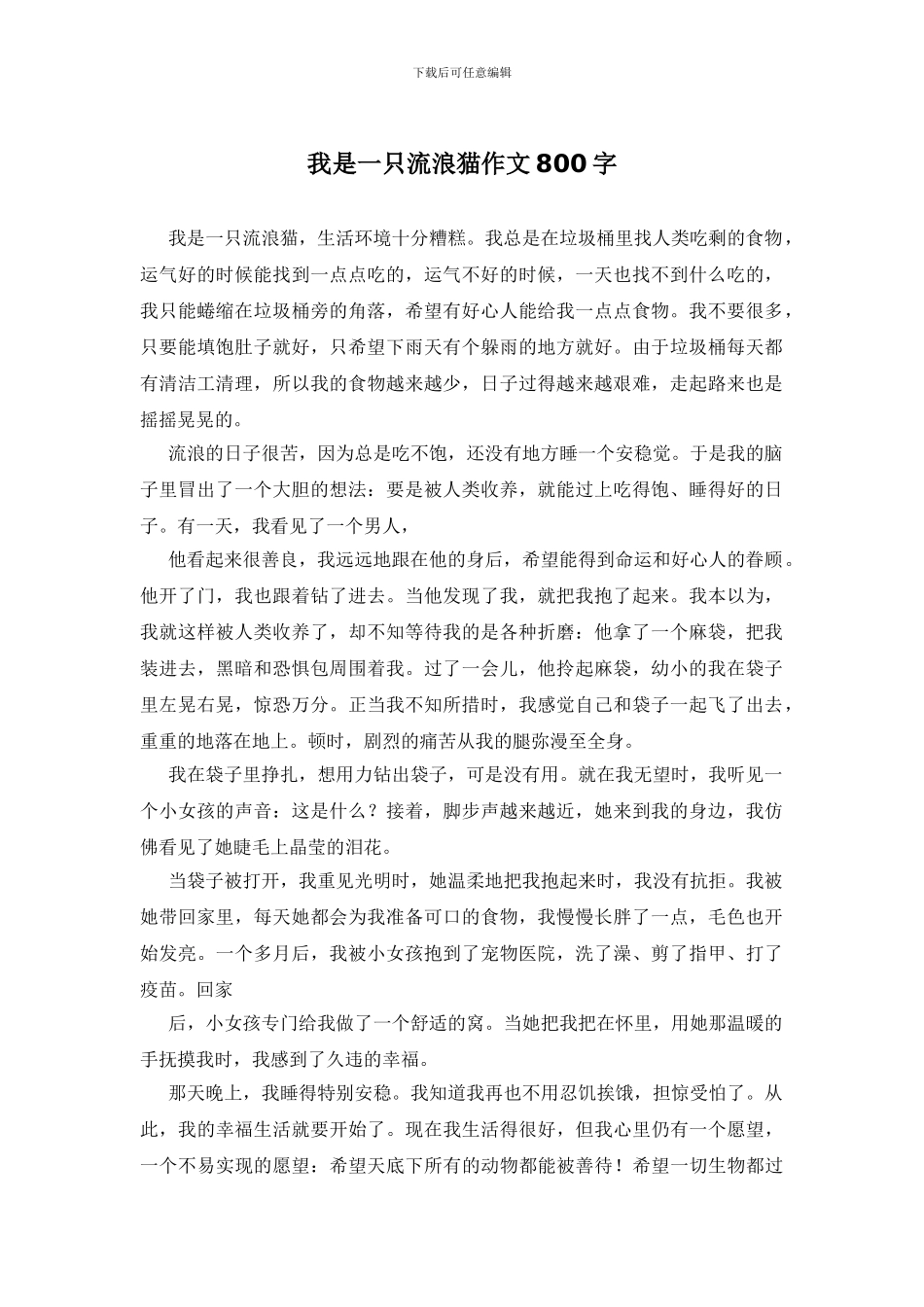 我是一只流浪猫作文800字_第1页