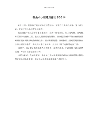 我是小小巡逻员作文300字