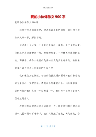我的小伙伴作文900字