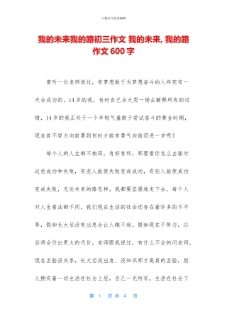 我的未来我的路初三作文