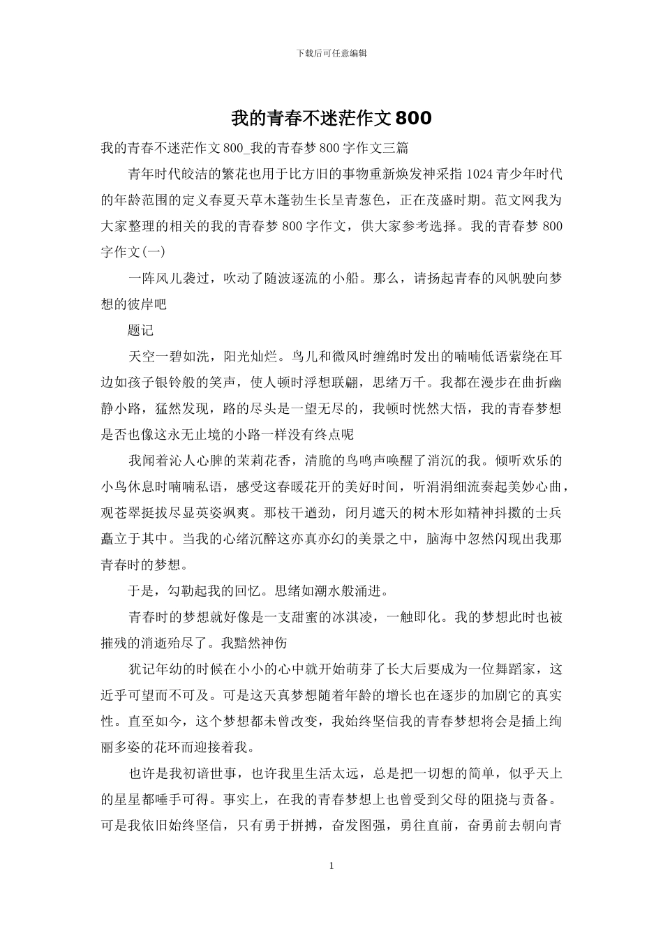 我的青春不迷茫作文800_第1页