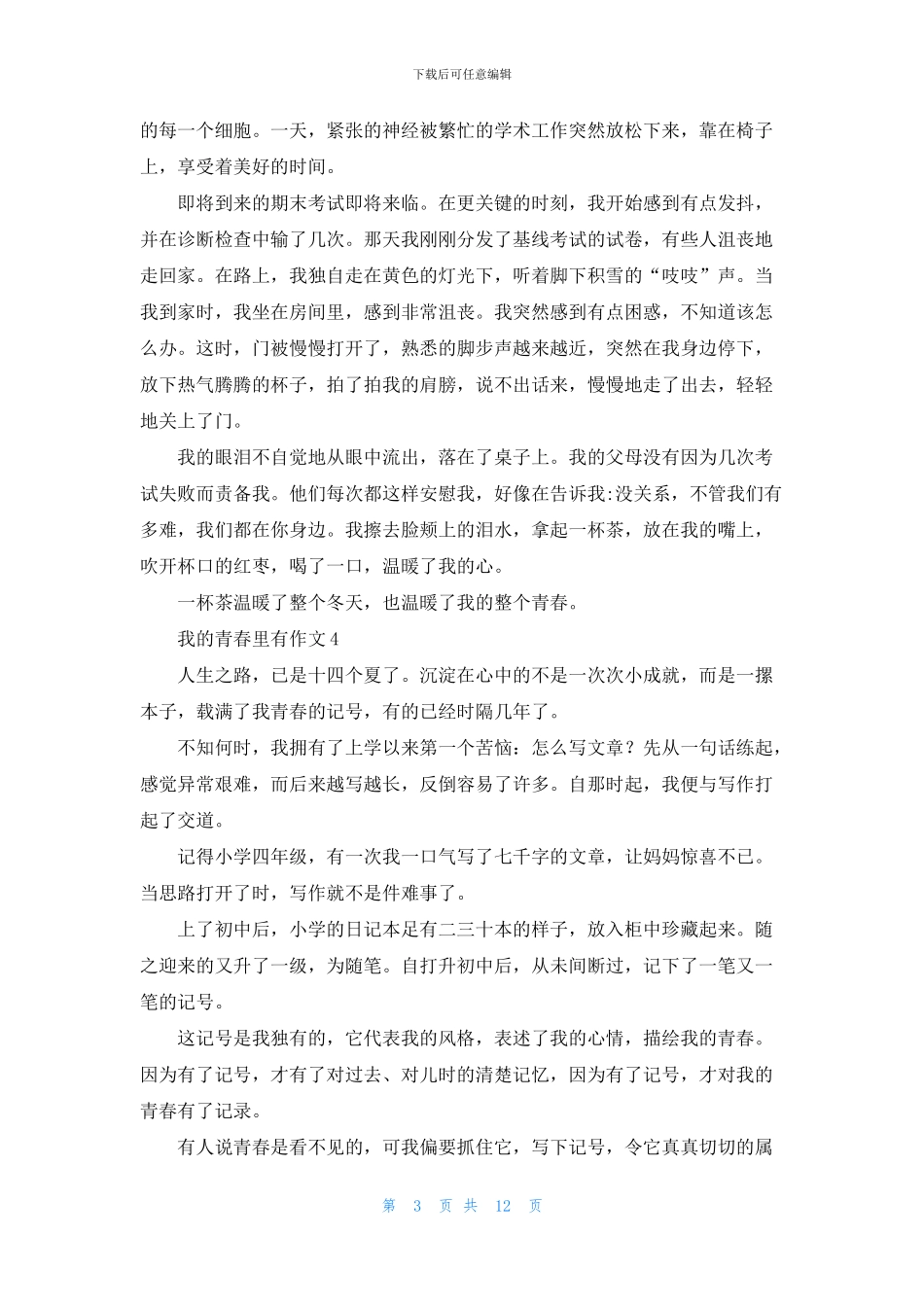 我的青春里有作文_第3页