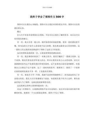 我终于学会了领悟作文500字