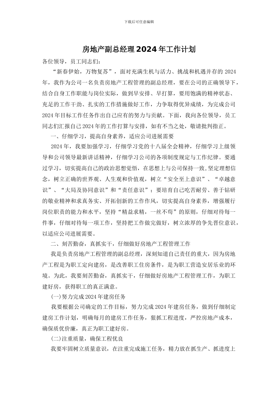 房地产副总经理2024年工作计划_第1页