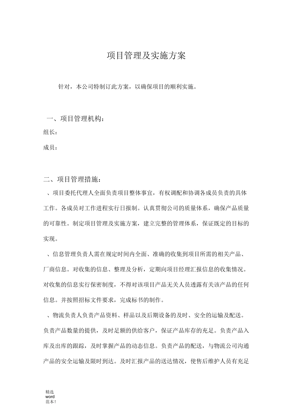 项目管理及实施方案_第1页