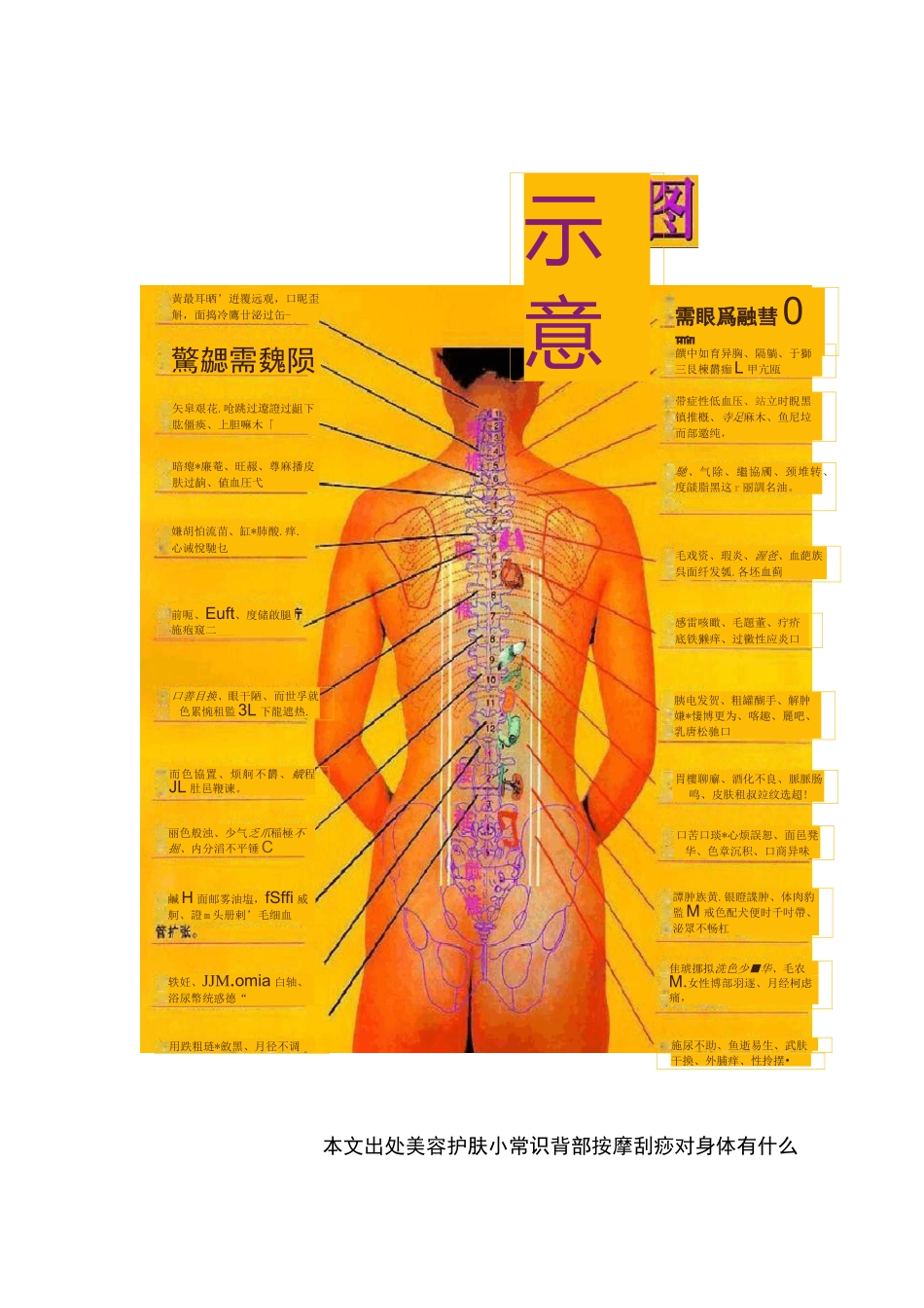 背部刮痧方法和反射区_第1页