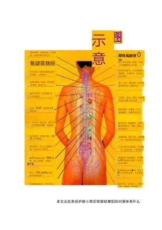 背部刮痧方法和反射区