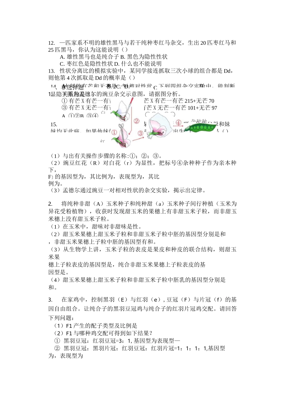 高中生物必修二遗传因子的发现测试题及答案 _第3页
