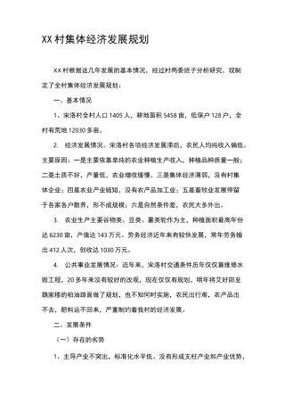 XX村集体经济发展规划