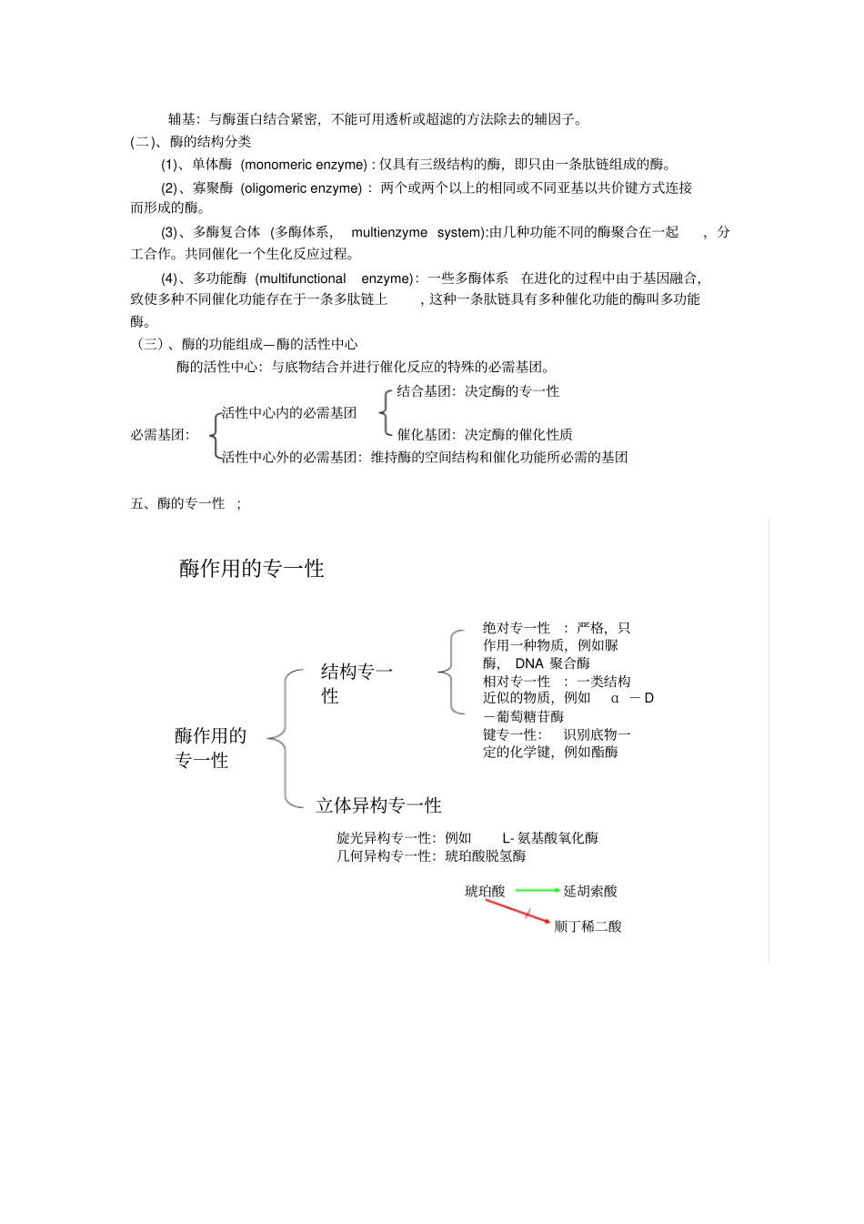 酶工程复习提纲2009_第2页