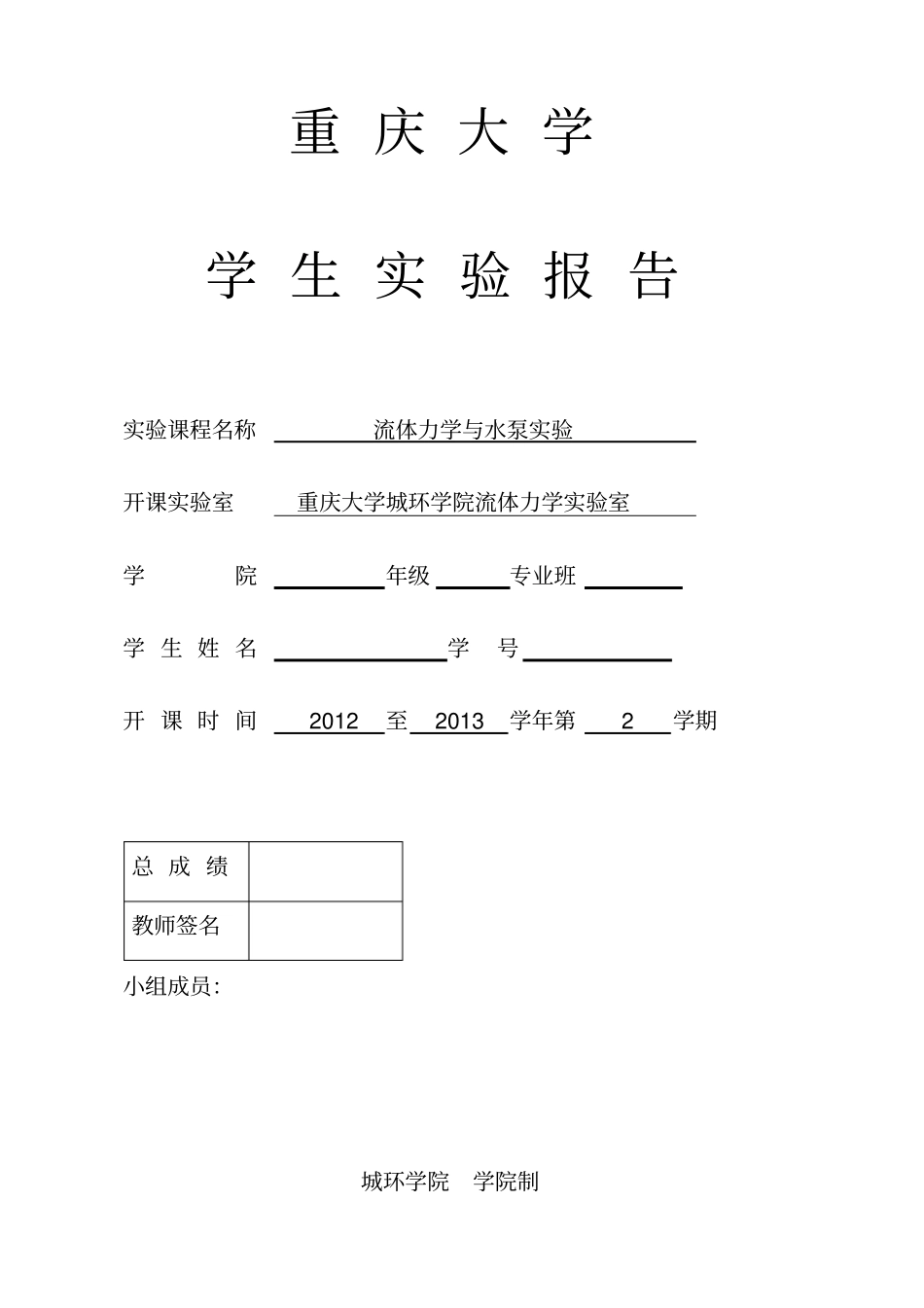 重大城环流体力学试验报告合集_第1页