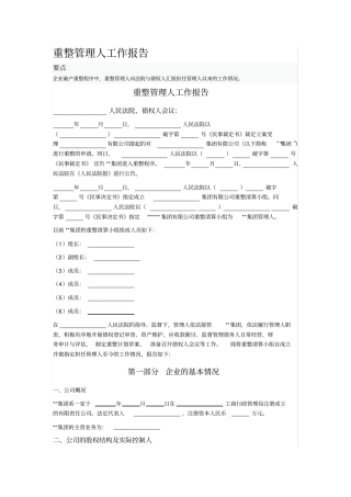 重整管理人工作报告