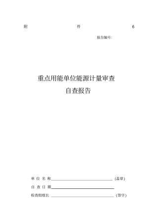 重点用能单位能源计量审查自查报告