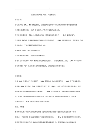 重组质粒试验报告