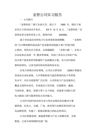 金智公司实习报告