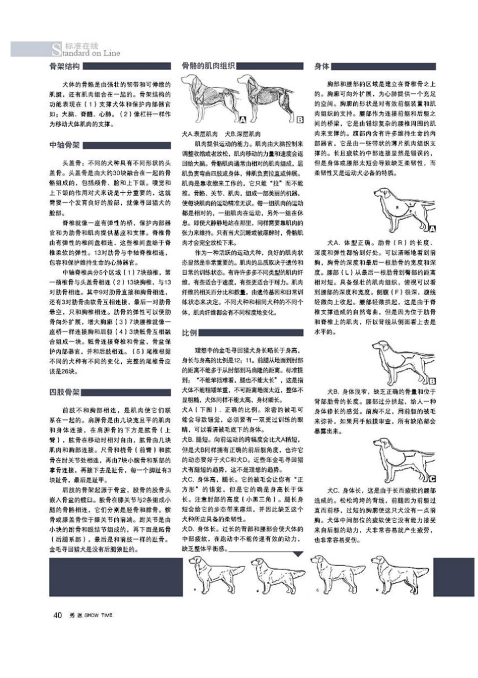 金毛寻回猎犬蓝皮书_第3页