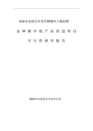 金神镇土地治理项目可研报告