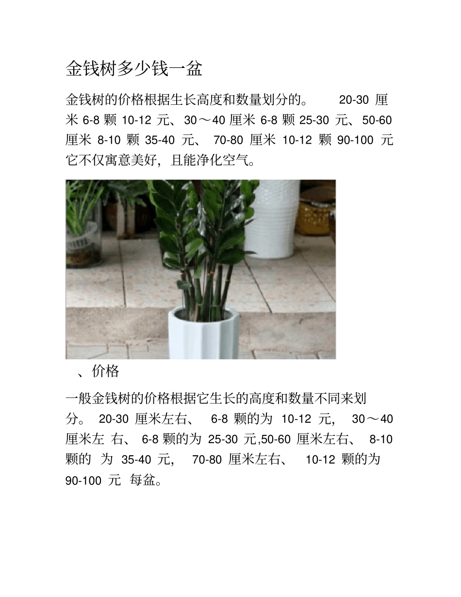 金钱树多少钱一盆_第1页